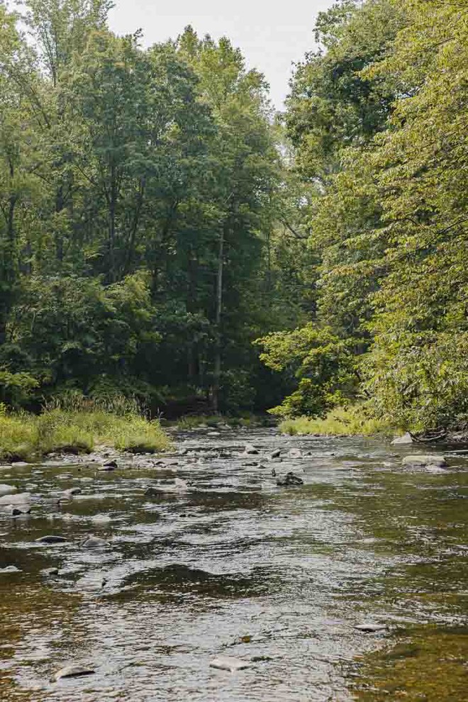 A calm Maryland creek winding through green woods, the landscape Life Migration Therapy serves by telehealth